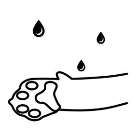 Remise immédiate