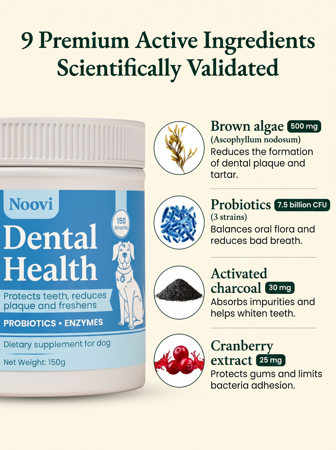Noovi Dental Health benefits