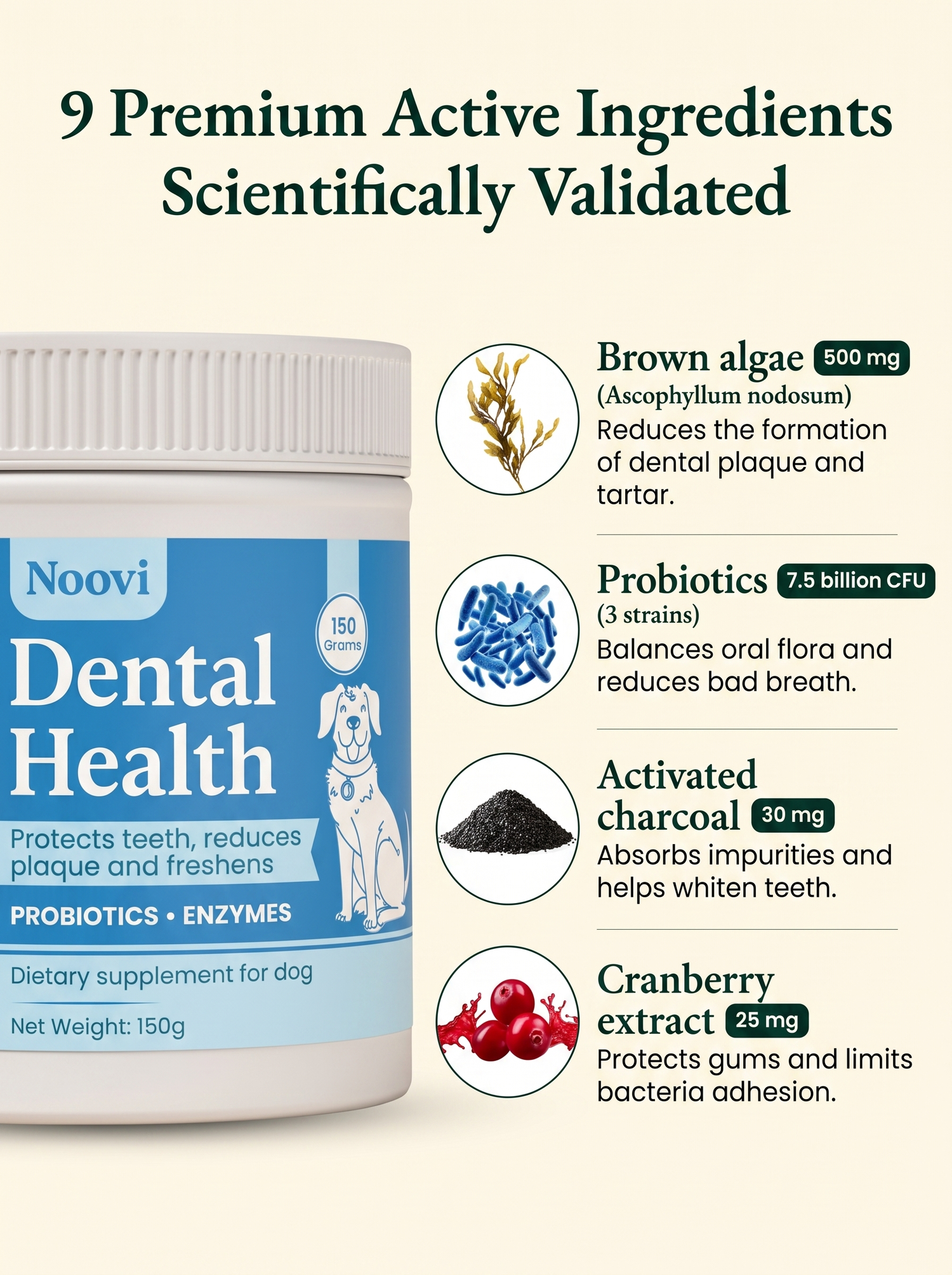 Noovi Dental Health benefits