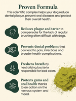 Noovi Dental Health ingredients