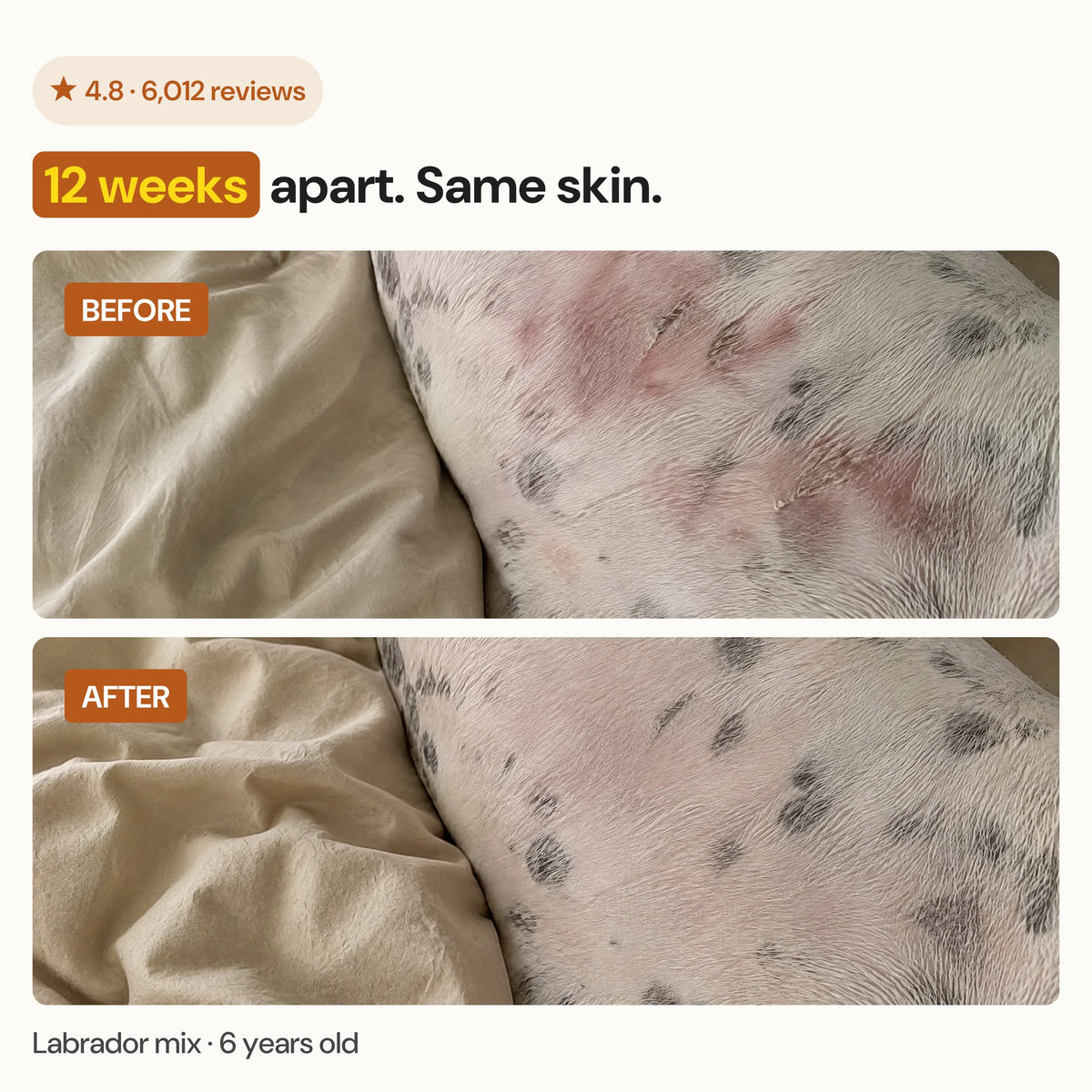 Before and after: 12 weeks apart