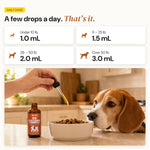 Daily dose by dog weight