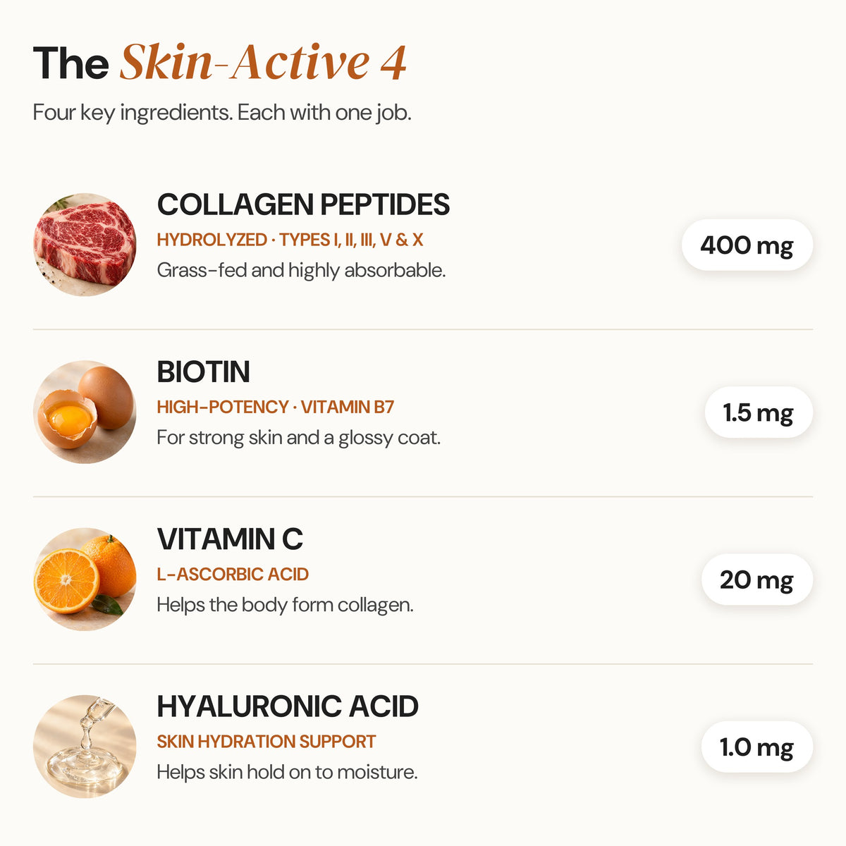The Skin-Active 4 ingredients